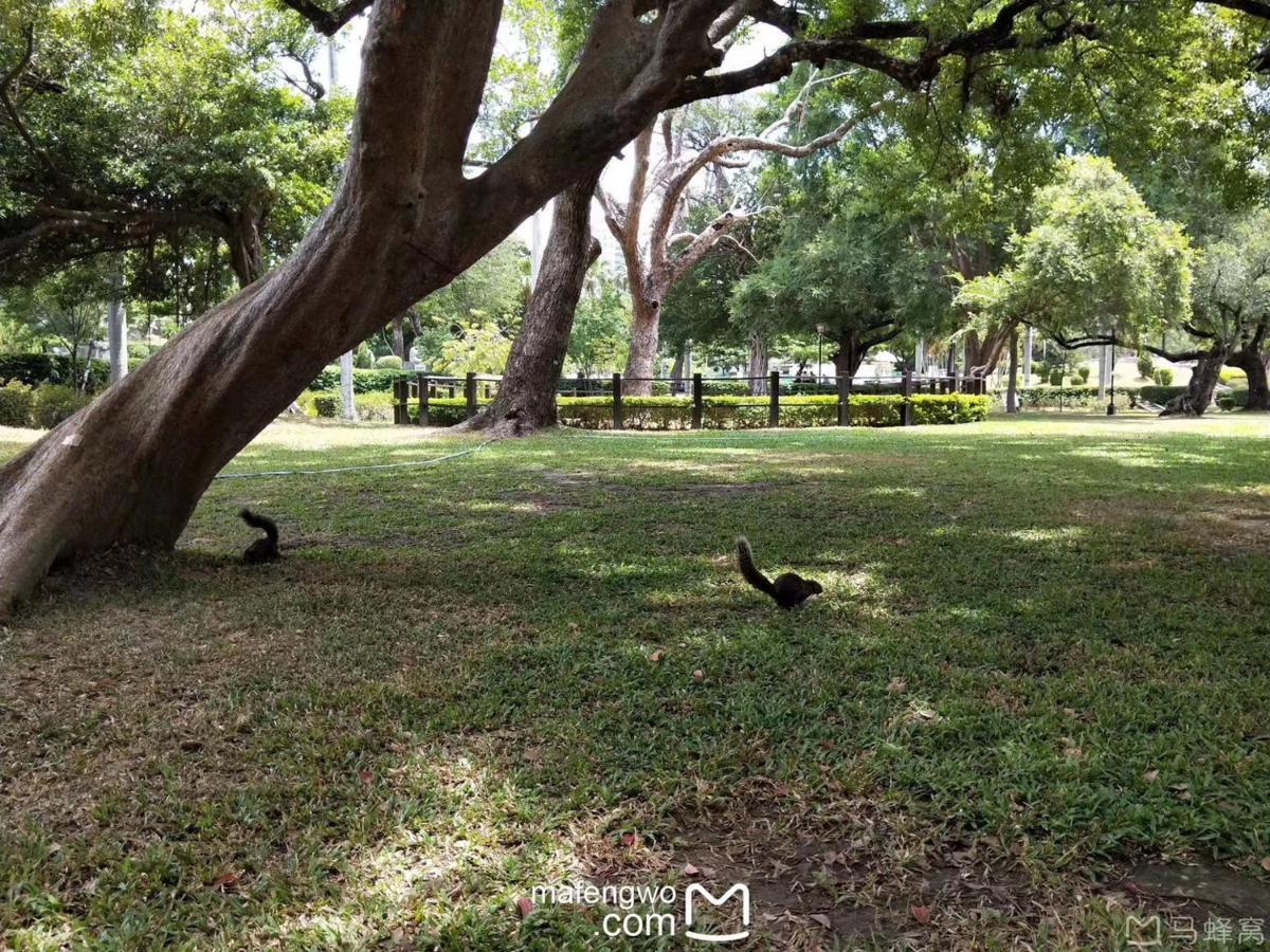 星霖之家 Apartment Taichung Luaran gambar